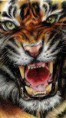 /album/wallpapers-para-andorid-ect/images-11-jpg/